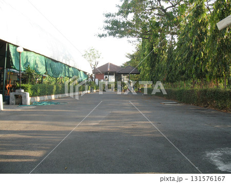 Garden driveway lined with hedges and trees leading to small pavilion and greenhouse, sunny late afternoon scene with long shadows and calm atmosphere Garden driveway lined with hedges and trees leading to small pavilion and greenhouse, sunny late afternoon scene with long shadows and calm atmosphere 131576167