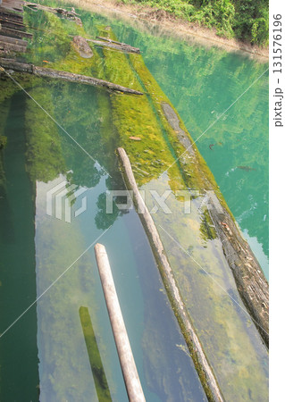 Submerged wooden beams clear green water algae covered timber reflection lake shore log debris 131576196