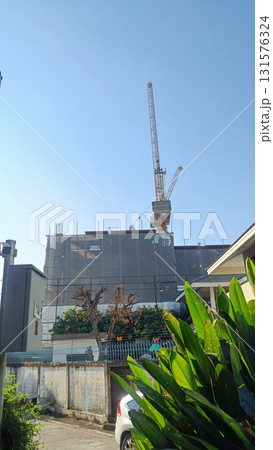 Construction site with tower crane above scaffolded building, sunny blue sky and foreground foliage creating calm urban contrast 131576324