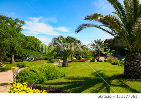Tropical Garden with Palm Trees and Lush Greenery 131577063
