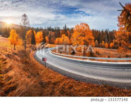Empty mountain road, trees with red and orange foliage 131577148