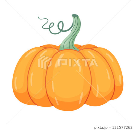 Autumn pumpkin. Hand drawn trendy flat style isolated on transparent background Autumn pumpkin. Hand drawn trendy flat style isolated on transparent background 131577262