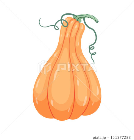 Autumn pumpkin. Hand drawn trendy flat style isolated on transparent background Autumn pumpkin. Hand drawn trendy flat style isolated on transparent background 131577288