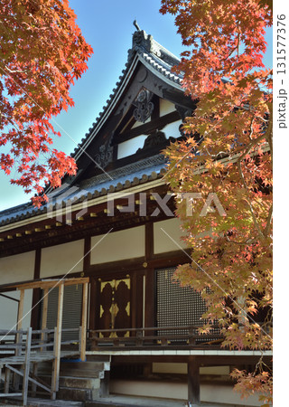 世界遺産仁和寺 金堂とモミジ(京都市右京区) 世界遺産仁和寺 金堂とモミジ(京都市右京区) 131577376
