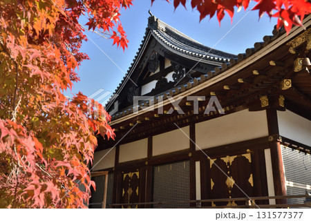 世界遺産仁和寺　金堂とモミジ(京都市右京区) 131577377