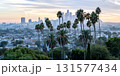 Los Angeles skyline and downtown with palm trees at sunset panorama in California United States 131577434