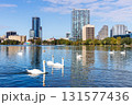 Orlando skyline at Lake Eola Park with swans downtown in fall season in Florida in the United States 131577436