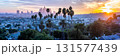 Los Angeles skyline and downtown with palm trees panorama at sunset in California United States 131577439
