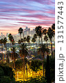 Los Angeles skyline and downtown with palm trees at sunset portrait format in California United States 131577443