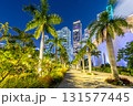 Miami skyline with skyscrapers at Maurice A. Ferre Park at night in Miami, United States 131577445