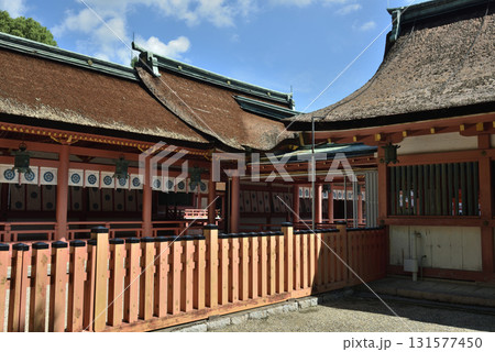 津島神社　御本殿(愛知県津島市) 131577450