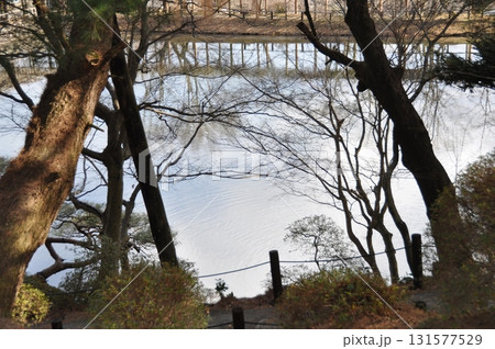 福島県　二本松市　二本松城　るり池 131577529