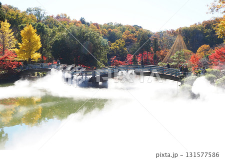 人口霧と紅葉（薬師池公園） 131577586