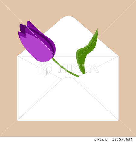 Tulip in an envelope. Vector illustration isolated on white background. 131577634