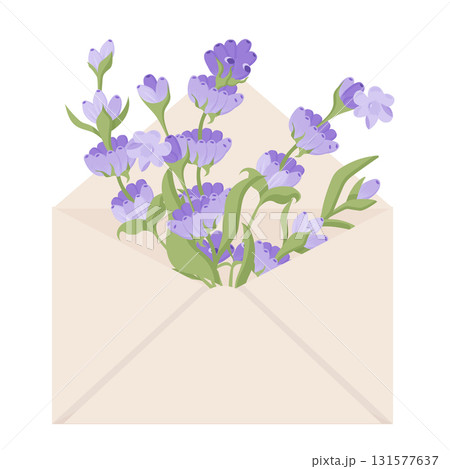 Bouquet of lovanda in an envelope. Vector illustration isolated on white background. 131577637