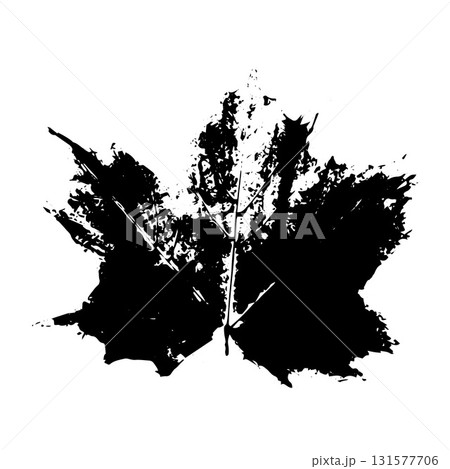 Leaf ink stamp. Herbarium print isolated on white. Black maple leaf imprint. Vector template for your creative designs. Leaf ink stamp. Herbarium print isolated on white. Black maple leaf imprint. Vector template for your creative designs. 131577706
