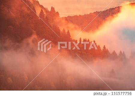 Misty autumn mountain landscape at sunrise in Slovenia 131577756