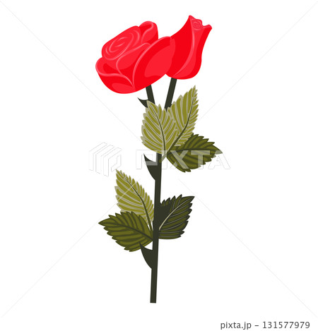 Bright red rose. Lush flower on a slightly inclined stem. Vector illustration isolated on a white background. Bright red rose. Lush flower on a slightly inclined stem. Vector illustration isolated on a white background. 131577979