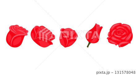 Set of bright red roses for your design. Vector illustration isolated on white background. 131578048