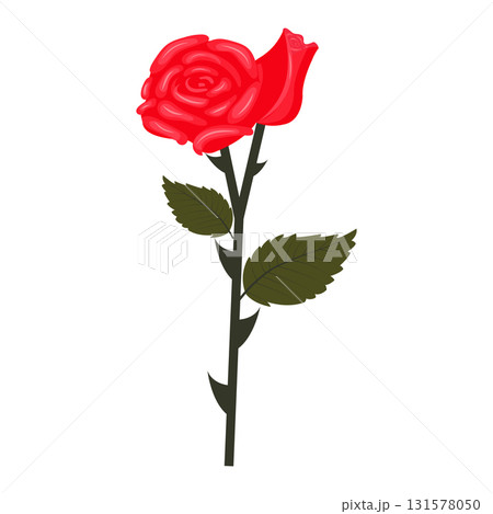 Red rose flower and bud on one stem. Vector illustration isolated on white background. Red rose flower and bud on one stem. Vector illustration isolated on white background. 131578050