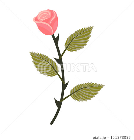 Delicate pink rose. Cute flower on a straight even stem. Vector illustration isolated on white background. Delicate pink rose. Cute flower on a straight even stem. Vector illustration isolated on white background. 131578055