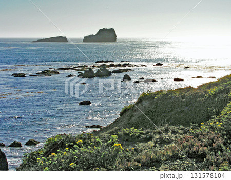 アメリカ カリフォルニア州 ビッグサー 太平洋岸の絶景 アメリカ カリフォルニア州 ビッグサー 太平洋岸の絶景 131578104