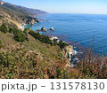 アメリカ　カリフォルニア州　ビッグサー　太平洋岸の絶景 131578130