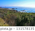 アメリカ　カリフォルニア州　ビッグサー　太平洋岸の絶景 131578135