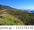 アメリカ　カリフォルニア州　ビッグサー　太平洋岸の絶景 131578136