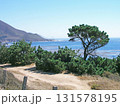 アメリカ　カリフォルニア州　ビッグサー　太平洋岸の絶景 131578195