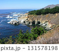 アメリカ　カリフォルニア州　ビッグサー　太平洋岸の絶景 131578198