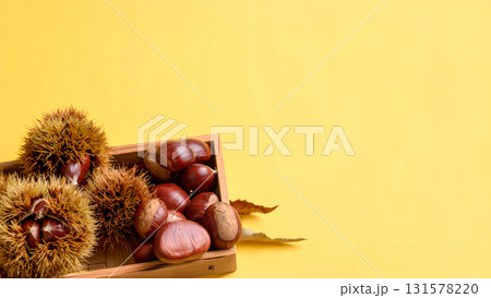 栗の秋イメージ 131578220