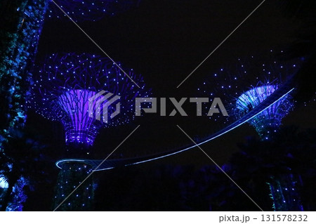 幻想的なガーデンズ・バイ・ザ・ベイのナイトショー 131578232