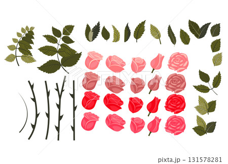 Set of rose elements for your design. Vector illustration isolated on white background. 131578281