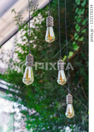 Vintage hanging light bulbs with glowing filaments in green interior garden with natural background Vintage hanging light bulbs with glowing filaments in green interior garden with natural background 131578334