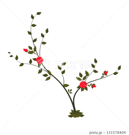 Small bush with blooming red roses. Vector illustration isolated on white background. 131578404