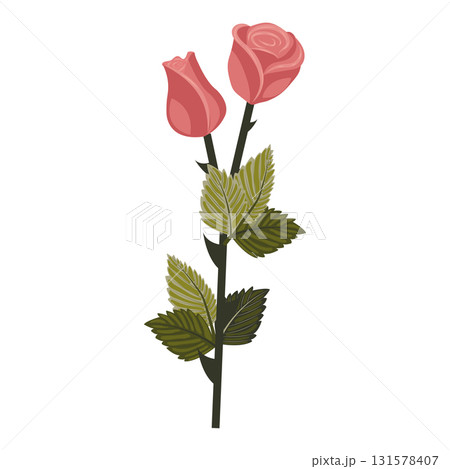Dusty pink rose. Cute flower and bud on one stem. Vector illustration isolated on white background. 131578407