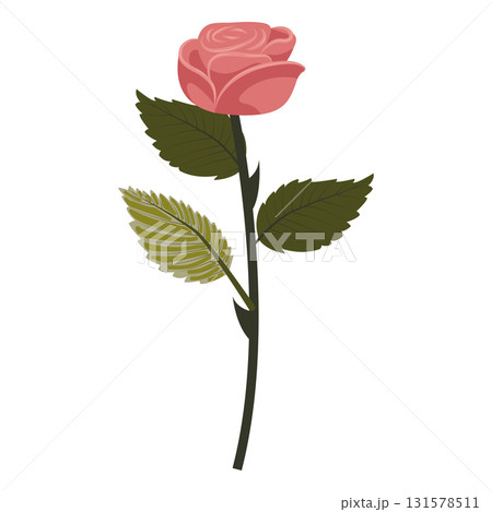 Dusty pink rose. Elegant flower on a straight even stem. Vector illustration isolated on a white background. 131578511