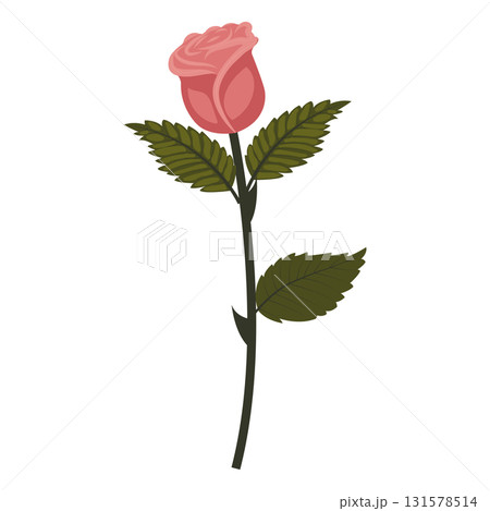 Dusty pink rose. Elegant flower on a straight even stem. Vector illustration isolated on a white background. 131578514