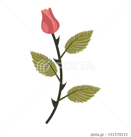 Dusty pink rose. Elegant flower on a straight even stem. Vector illustration isolated on a white background. Dusty pink rose. Elegant flower on a straight even stem. Vector illustration isolated on a white background. 131578515