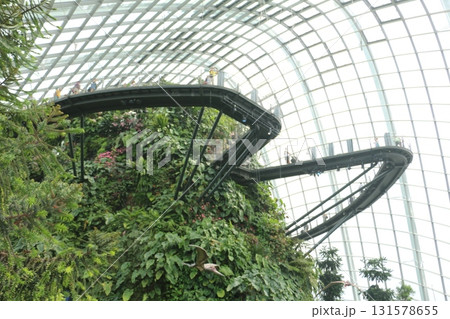 巨大な温室ドーム クラウド・フォレスト 巨大な温室ドーム クラウド・フォレスト 131578655