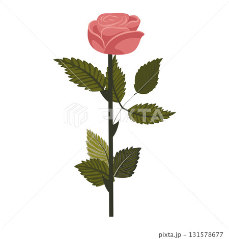 Dusty pink rose. Elegant flower on slightly inclined stem. Vector illustration isolated on white background. Dusty pink rose. Elegant flower on slightly inclined stem. Vector illustration isolated on white background. 131578677