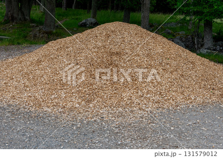 Large pile of wood chips on forest edge 131579012