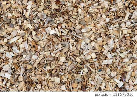 Background, large pile of wood chips on forest edge Background, large pile of wood chips on forest edge 131579016