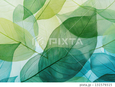 A beautiful and intricate arrangement of transparent, skeletal leaves in shades of green, blue, and yellow, with their veins visible. A beautiful and intricate arrangement of transparent, skeletal leaves in shades of green, blue, and yellow, with their veins visible. 131579315