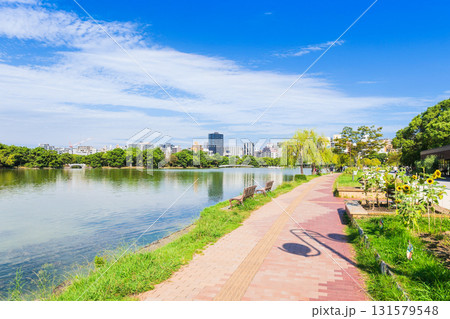 福岡 大濠公園 福岡 大濠公園 131579548