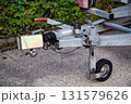 Trailer Hitch Coupling Mechanism On Paved Surface: Close-Up Of Metal Tow Bar With Brake Cable, Rubber Sleeve, And Mounting Hardware For Towing Connection 131579626