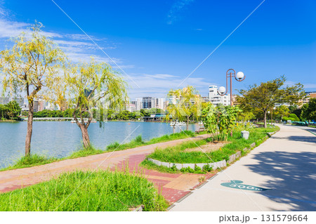 福岡　大濠公園　整備された周回園路（ジョギングコース） 131579664