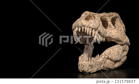 The T rex Skull for Education Or sci concept 3d Rendering. 131579837