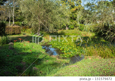 中之条ガーデンズ　群馬県中之条町 131579872